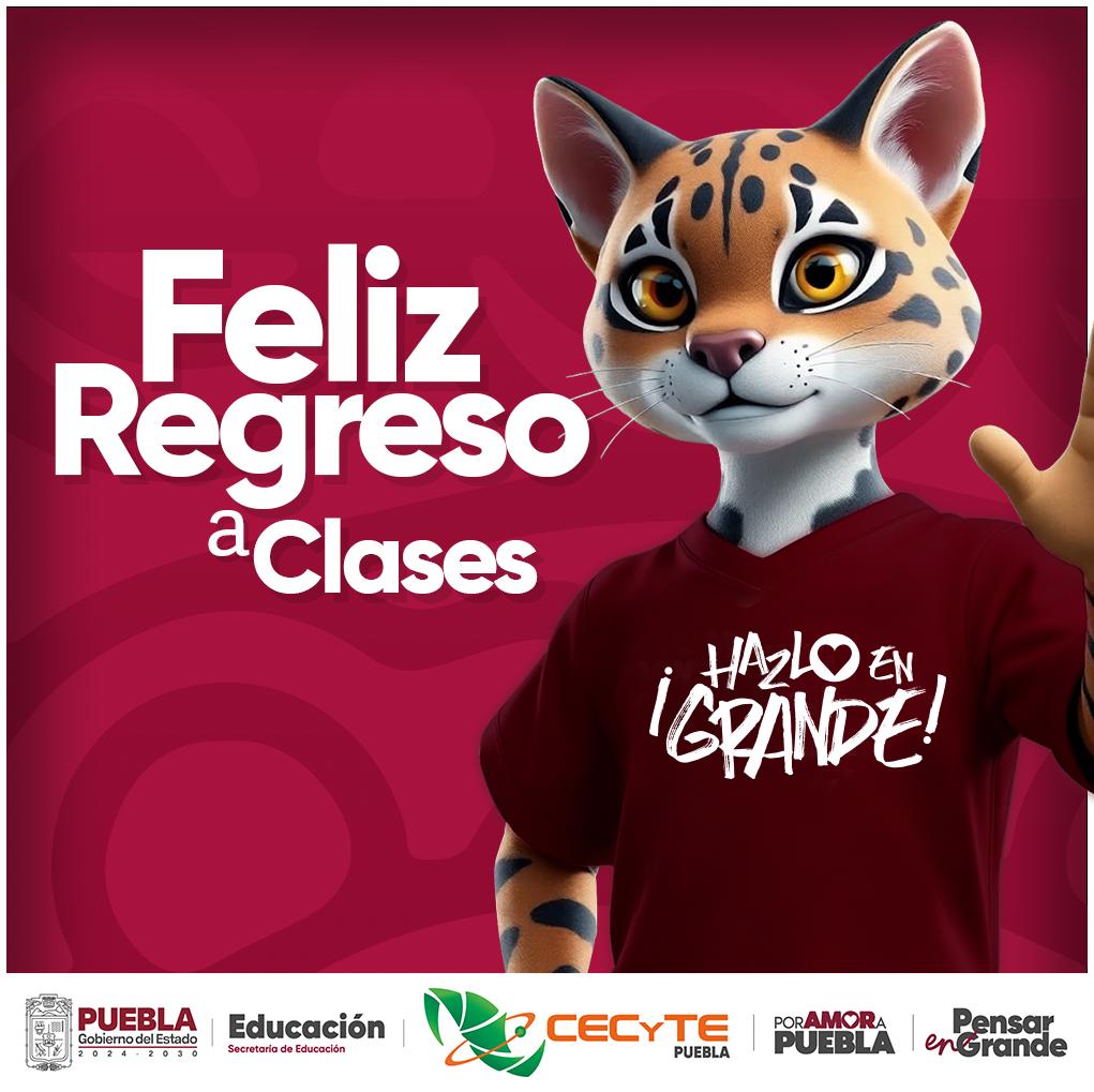 Imagen de la banda en acción